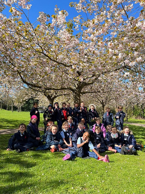 Group under blossom tree